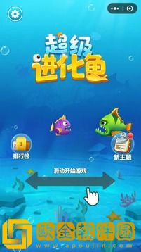 超级进化鱼