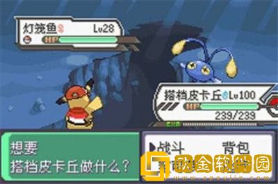 口袋妖怪水晶