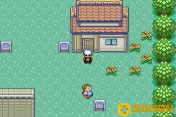 口袋妖怪究极绿宝石中文版