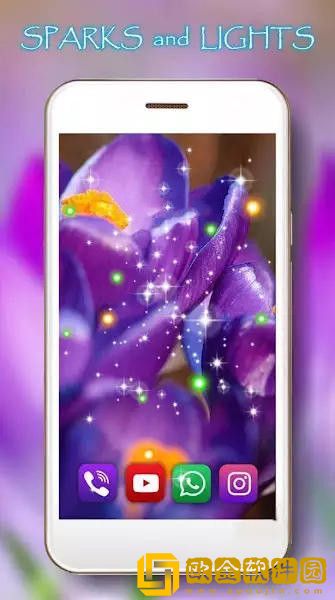 番红花之春壁纸安卓版