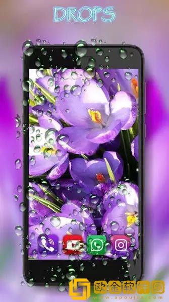 番红花之春壁纸安卓版