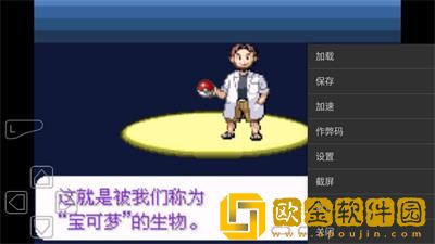 口袋妖怪永恒纪元