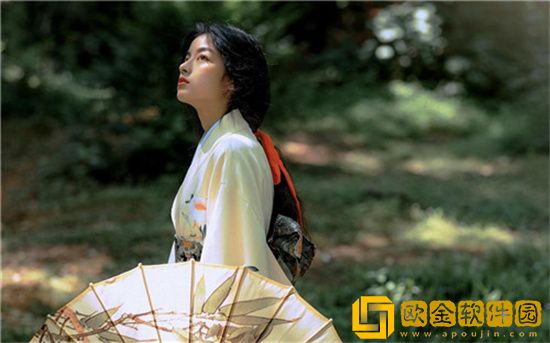 大象dx永久回家导航