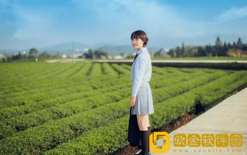 xboxseriesx欧版和美版