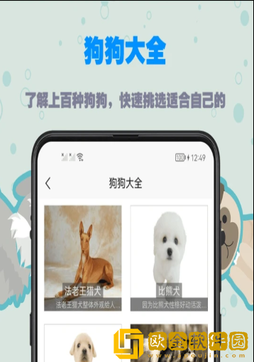 训狗教程大全