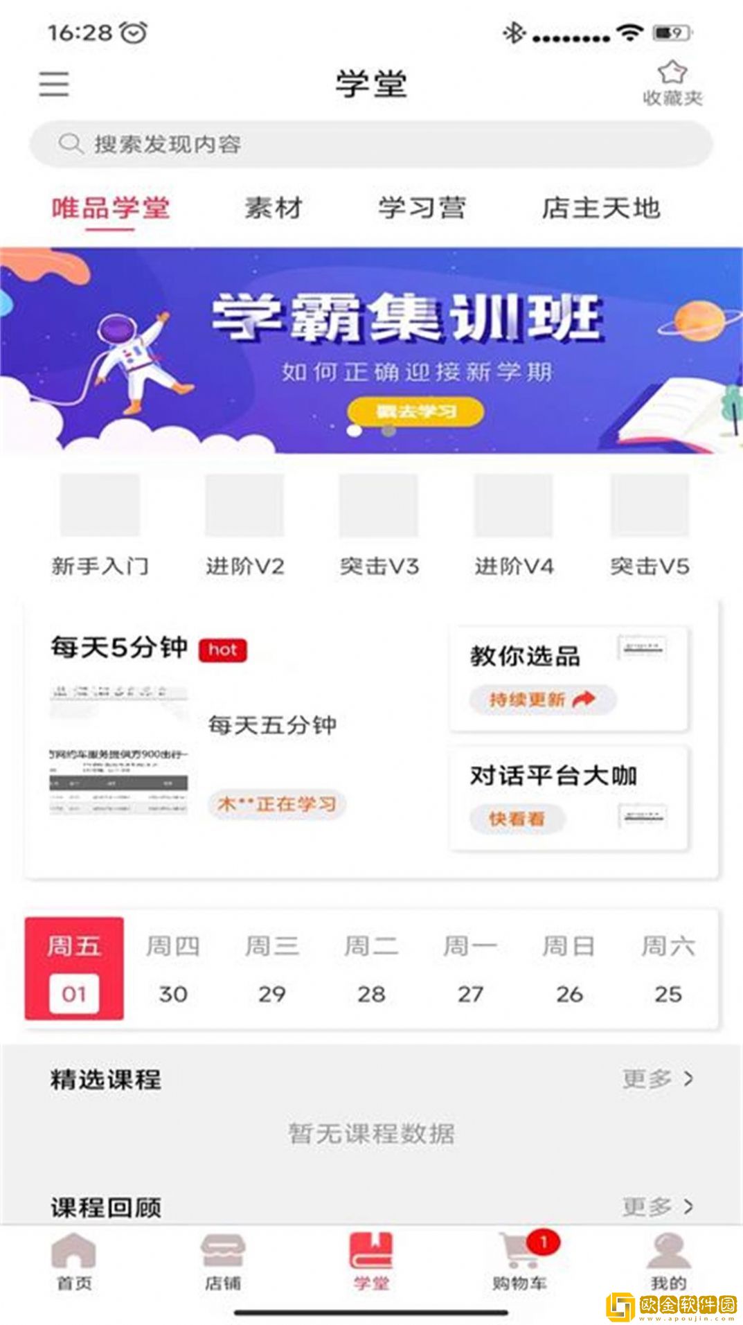 唯品闪购