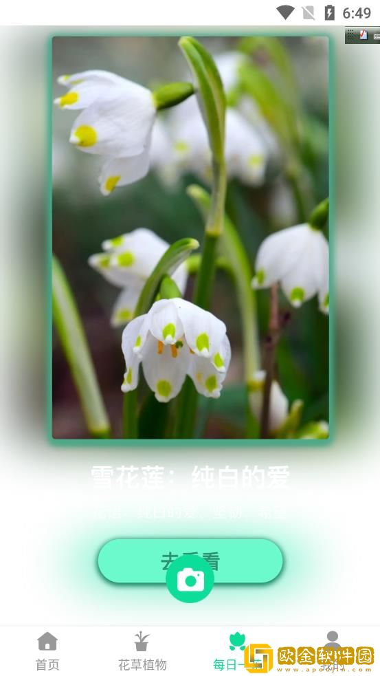 神农花草园艺
