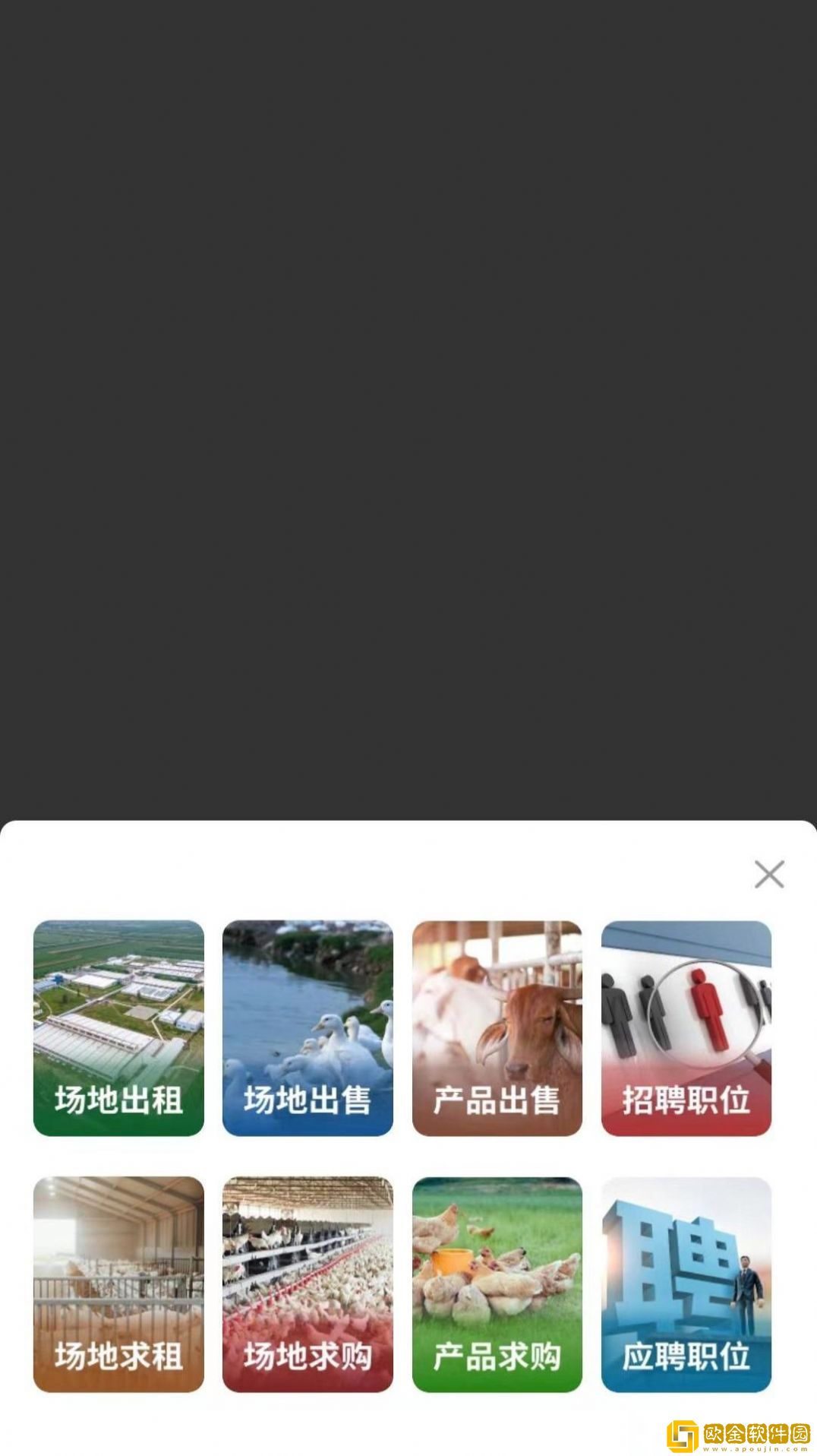 畜牧云端