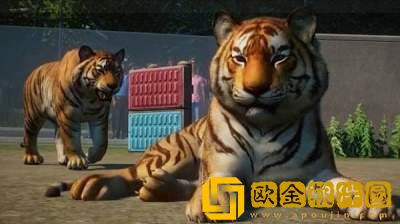 动物园之星