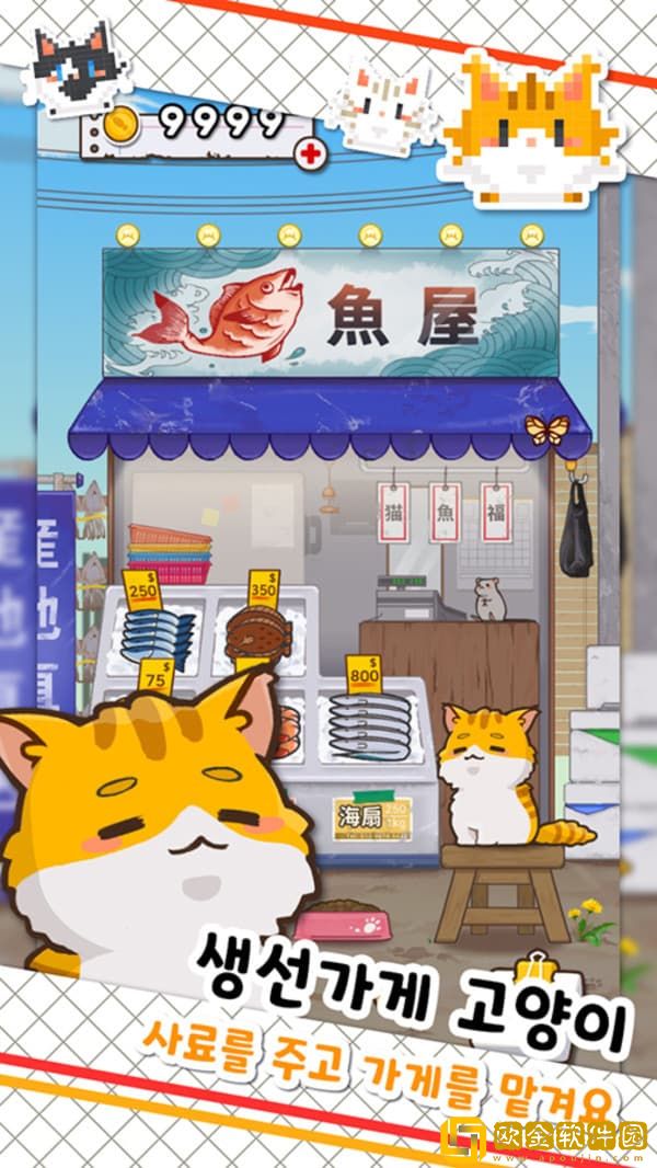 鱼店猫老板
