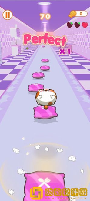 猫咪跳跃舞动喵
