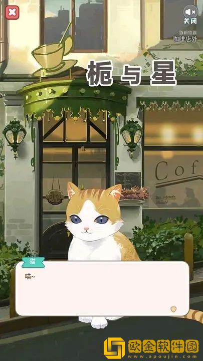 栀与星