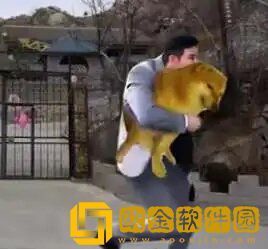 嘎子偷狗表情包