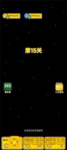 肉鸽球球
