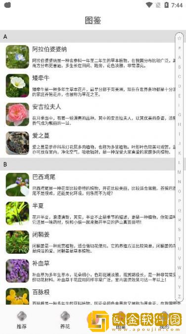 养花伴