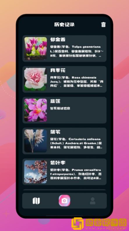 神农百草阁