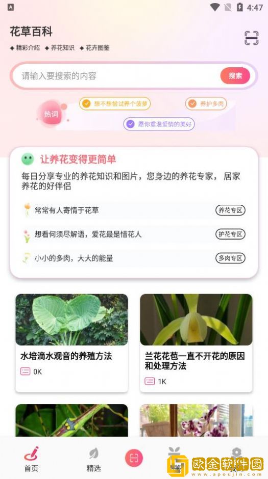 行色识花君