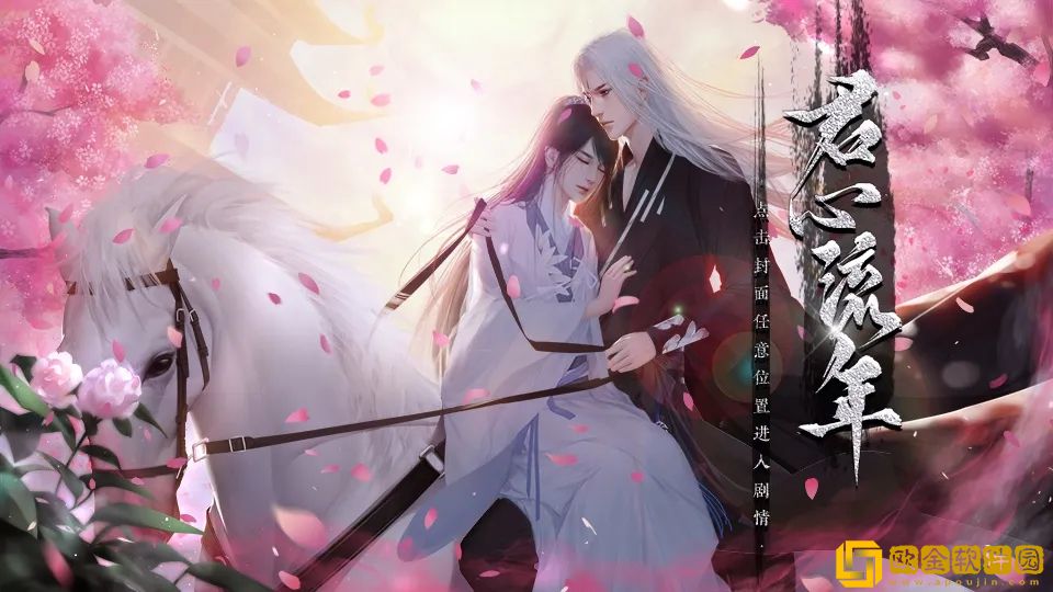 君心流年
