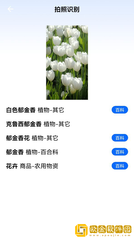 一起认植物