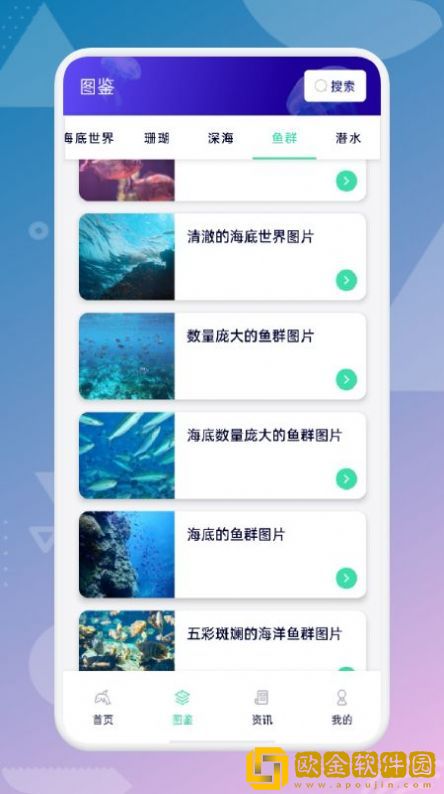 海来了