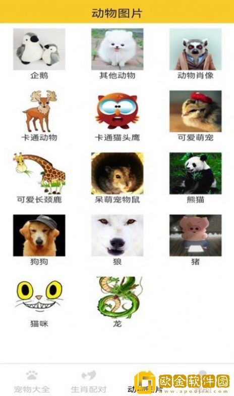 猫狗宠物大全