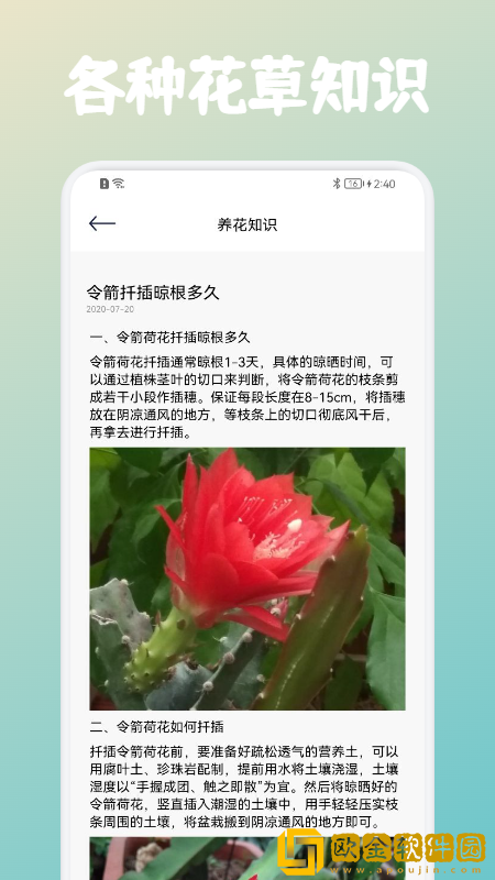 花草植物识别