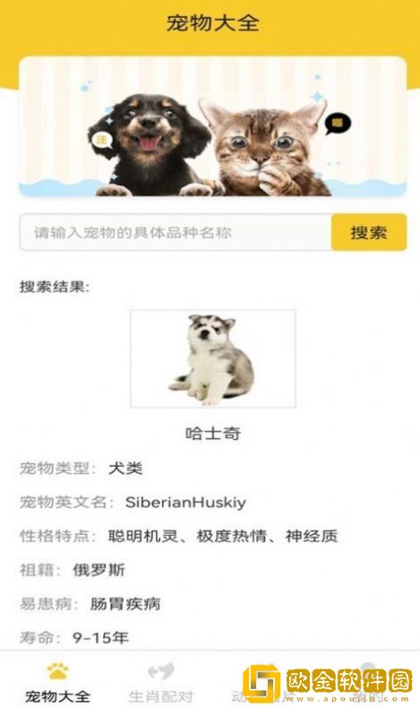 猫狗宠物大全