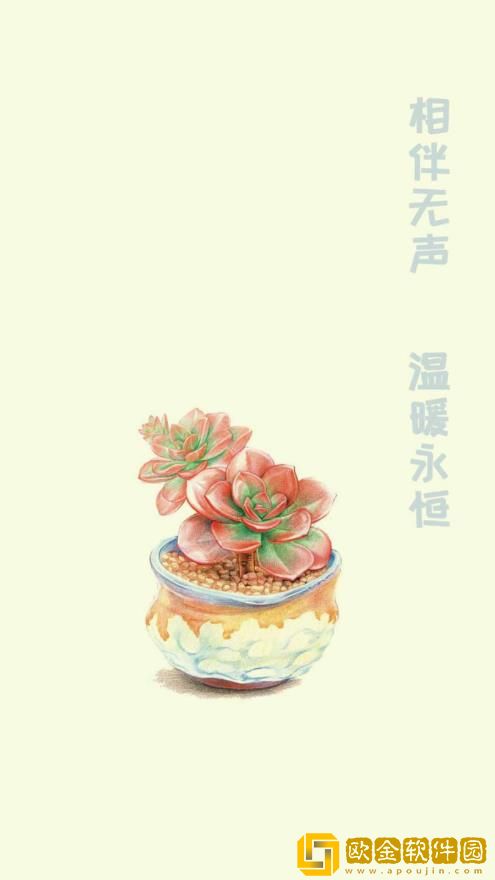 小墨多肉日记
