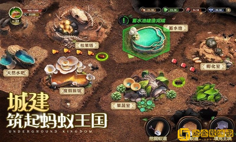 小小蚁世界