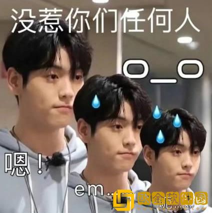 我没惹你们任何人表情包