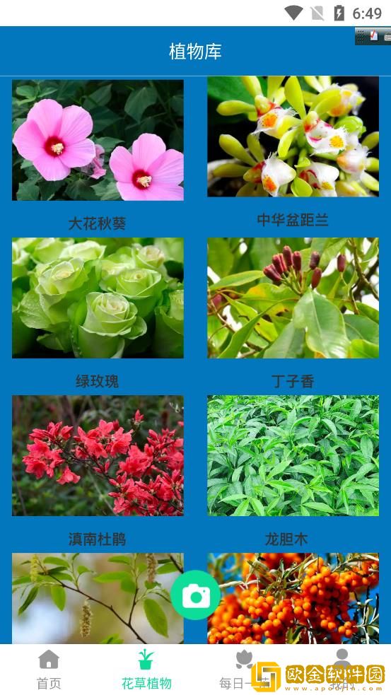 神农花草园艺