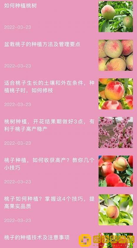 桃源生活录