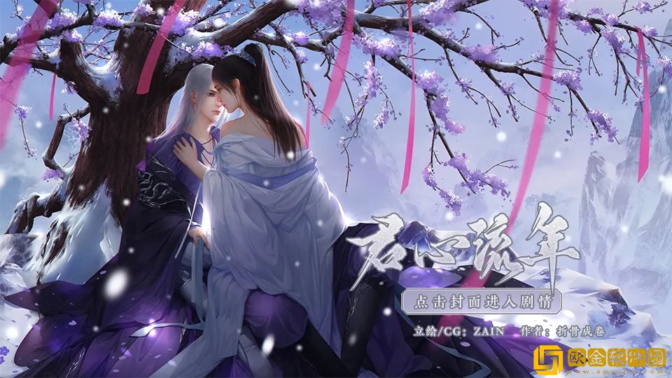 君心流年
