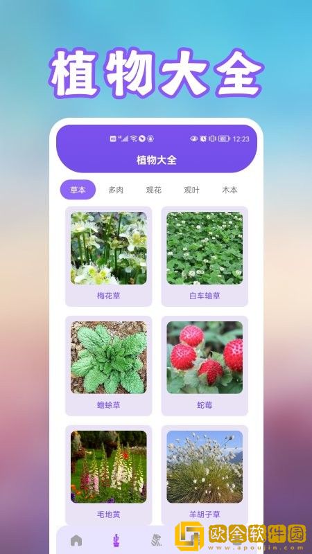 养花草录