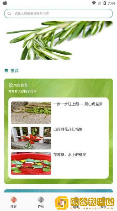 养花伴