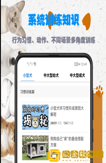 训狗教程大全
