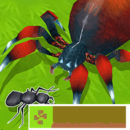 昆虫进化大乱斗