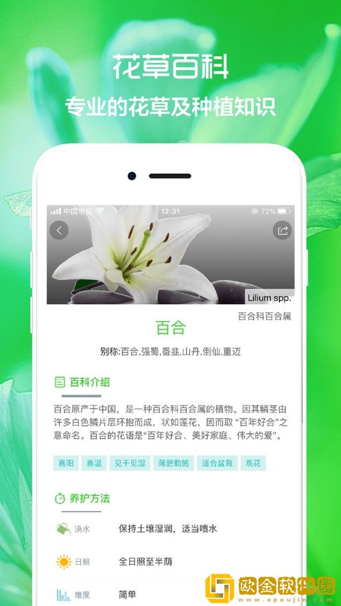 花草植物助手