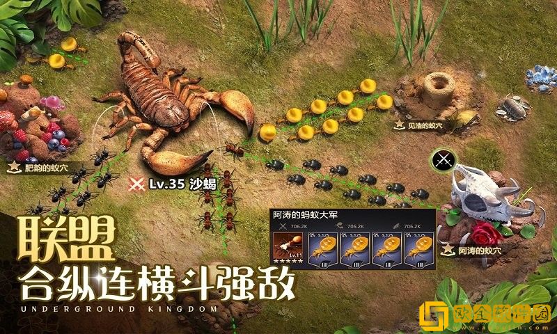 小小蚁世界