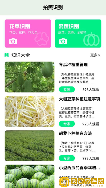 一起认植物