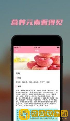 懒猪营养