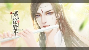 君心流年
