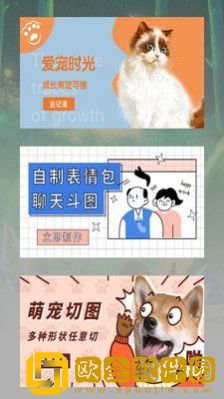 宠物日常记录