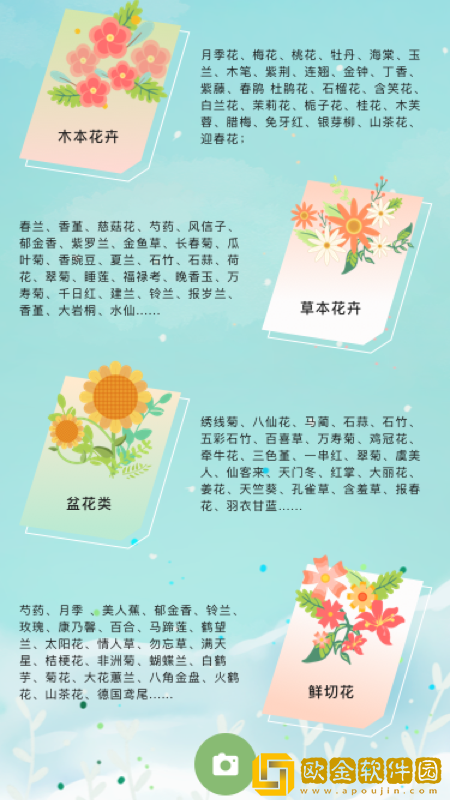 认识花