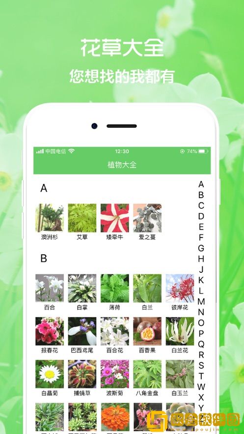 花草植物助手