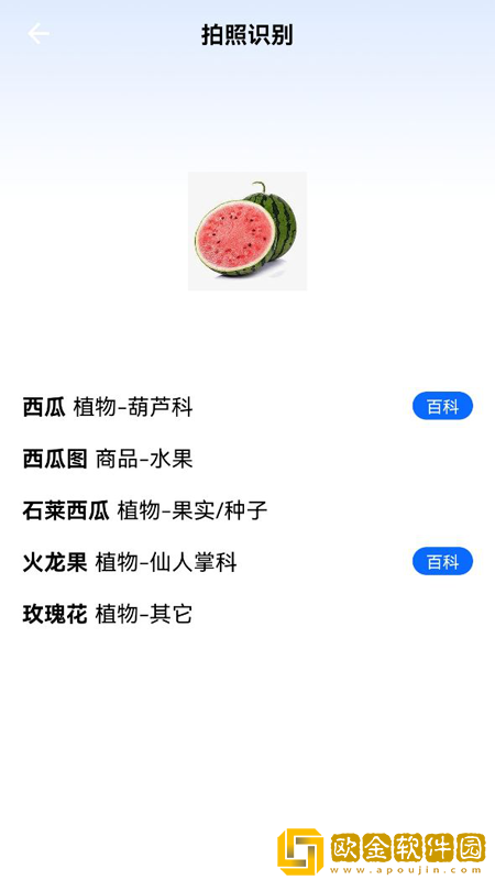 一起认植物