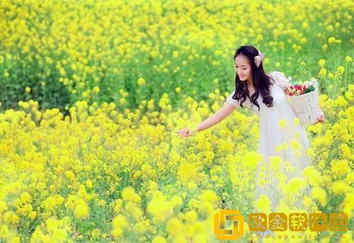 1000个免费货源网站免费版入口全集完整版下载v4.7.4