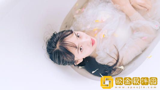 四叶草永久地域林