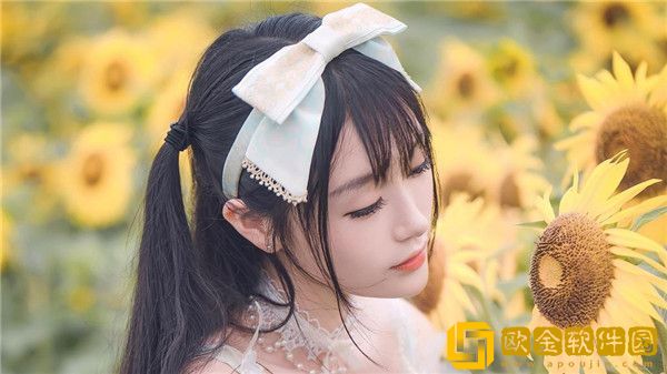 一本岛高清v免费一三四