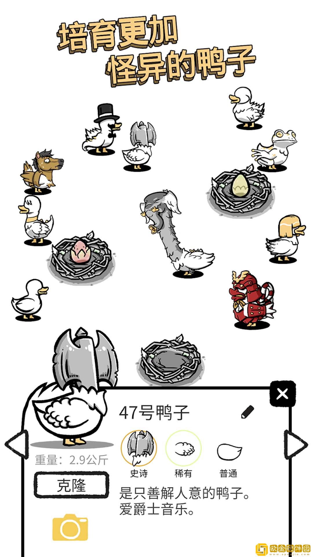 奇怪的鸭子